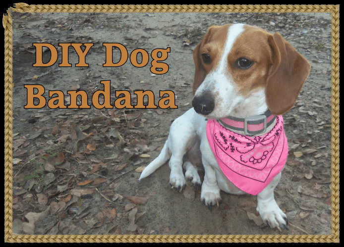 Best ideas about DIY Dog Bandana
. Save or Pin DIY Dog Bandana – The Minidatsun Blog Now.