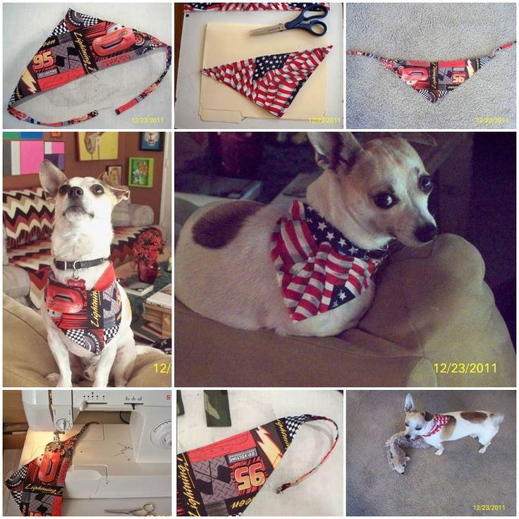 Best ideas about DIY Dog Bandana
. Save or Pin DIY Dog Bandana DIY pets projects Pinterest Now.