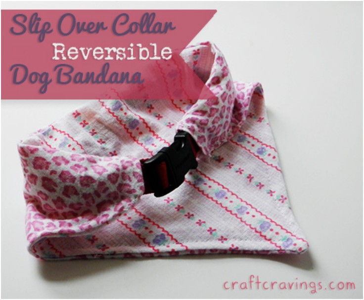 Best ideas about DIY Dog Bandana
. Save or Pin Top 10 Lovely DIY Pet Collars Top Inspired Now.