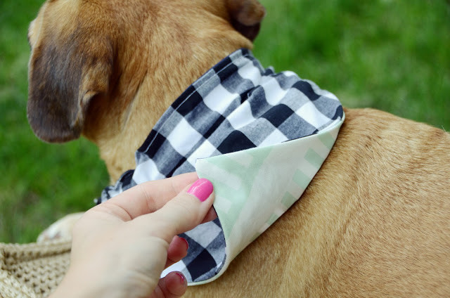 Best ideas about DIY Dog Bandanas
. Save or Pin Design Fixation Easy DIY Reversible Dog Bandana Sewing Now.