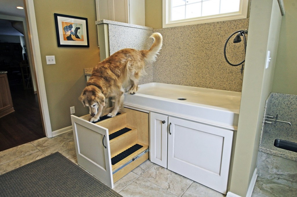 Best ideas about DIY Dog Bath Station
. Save or Pin A Mud Room Designed for Your Dog Porch Advice Now.