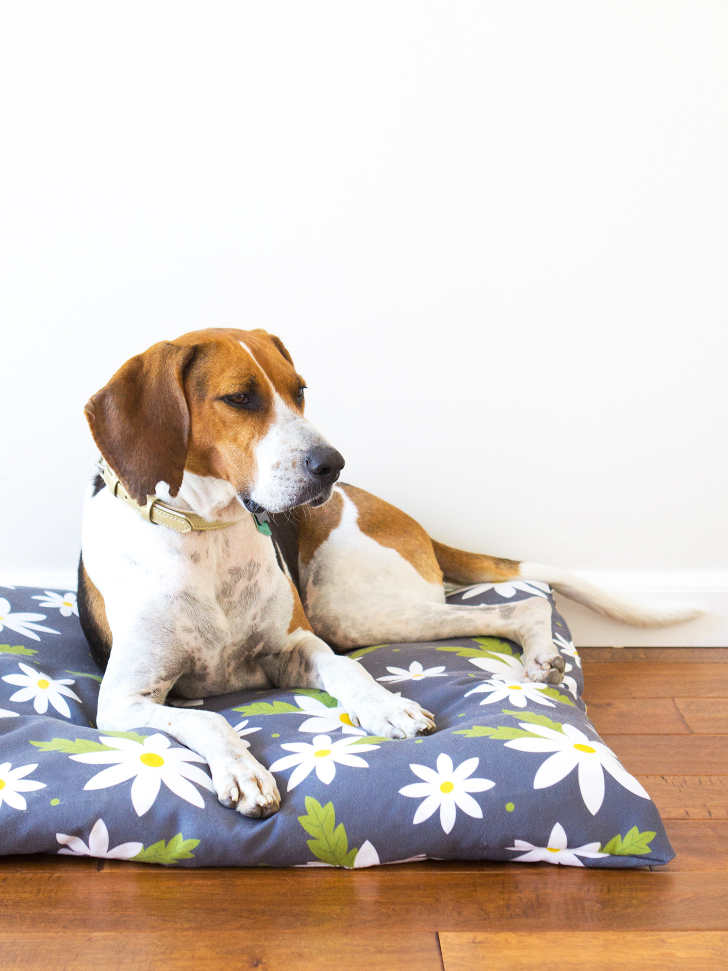 Best ideas about DIY Dog Bed Cover
. Save or Pin DIY Easy to Sew Zippered Dog Bed Cover Sarah Hearts Now.