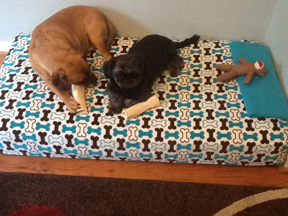 Best ideas about DIY Dog Bed Cover
. Save or Pin Sarah with an H Dog Bed Now.
