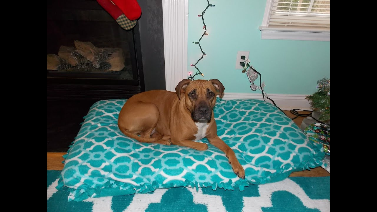 Best ideas about DIY Dog Bed Cover
. Save or Pin DIY Recycled Dog Bed No Sew Now.