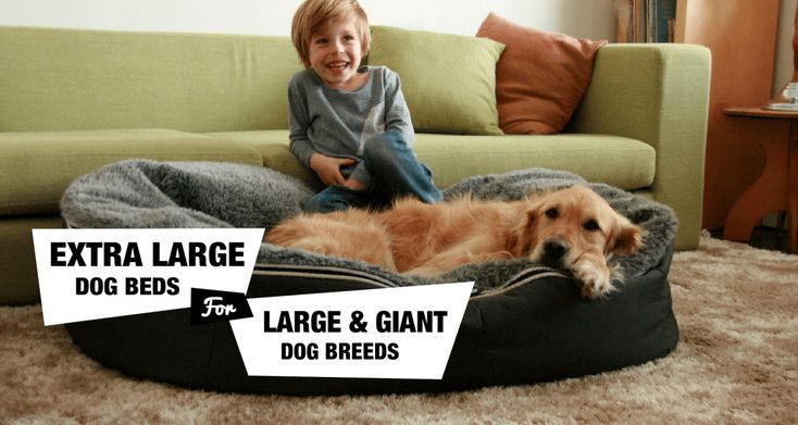 Best ideas about DIY Dog Bed For Large Dogs
. Save or Pin Best 25 dog beds ideas on Pinterest Now.