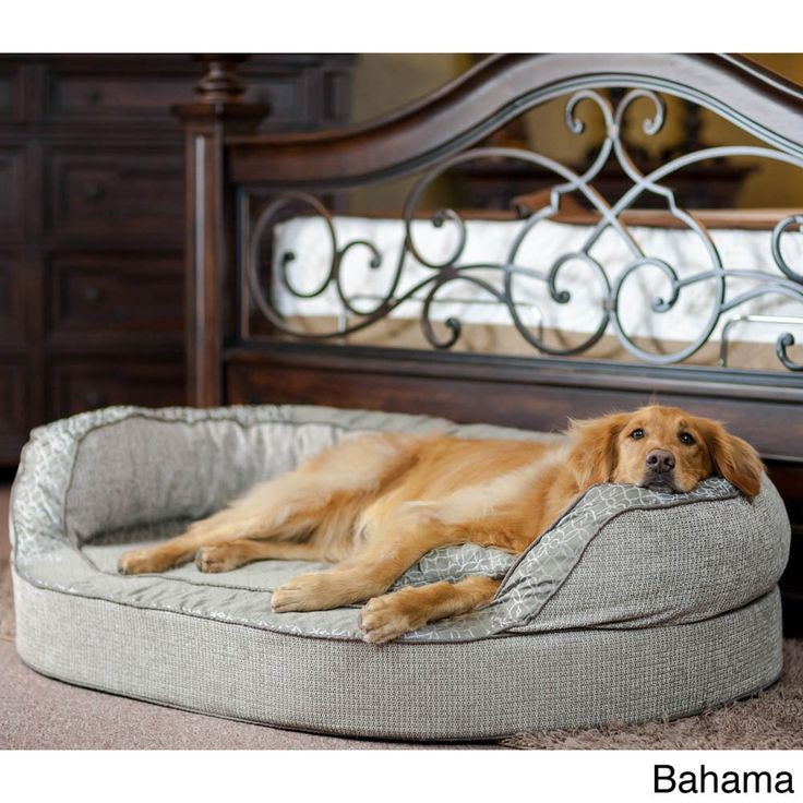 Best ideas about DIY Dog Bed For Large Dogs
. Save or Pin Best 25 dog beds ideas on Pinterest Now.