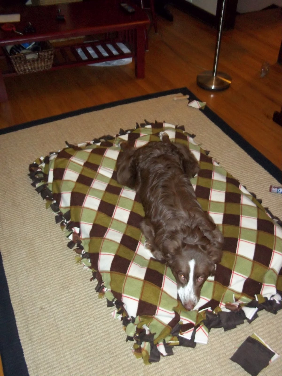 Best ideas about DIY Dog Bed For Large Dogs
. Save or Pin Our Big Blue House Homemade Dog Bed Now.