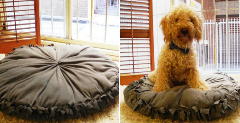 Best ideas about DIY Dog Bed No Sew
. Save or Pin How to Make No Sew Pet Bed DIY & Crafts Handimania Now.