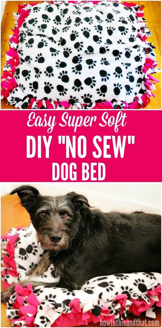 Best ideas about DIY Dog Bed No Sew
. Save or Pin This DIY No Sew Dog Bed is so easy and soft keeping your Now.