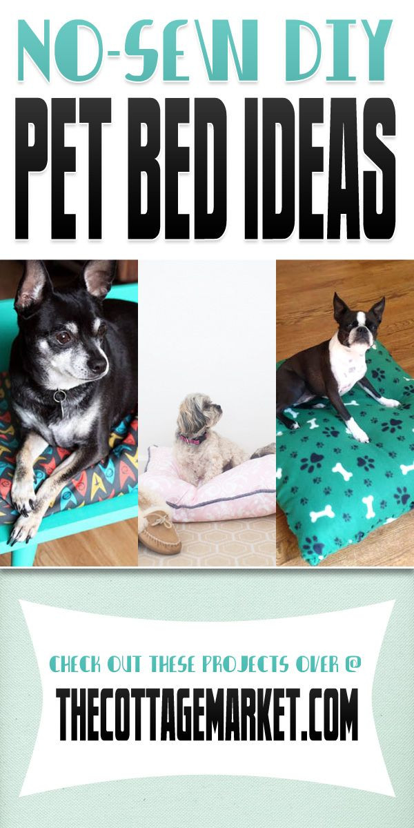 Best ideas about DIY Dog Bed No Sew
. Save or Pin 12 best images about DIY No Sew Pet Bed on Pinterest Now.