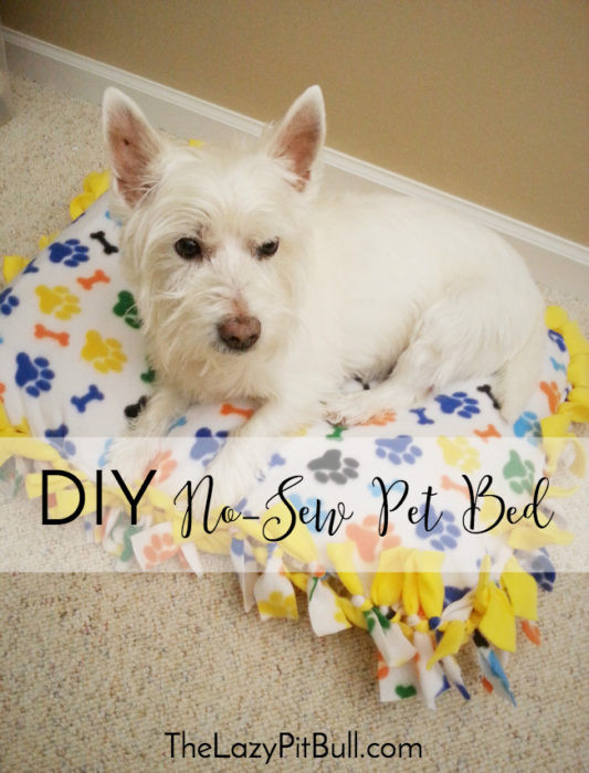 Best ideas about DIY Dog Bed No Sew
. Save or Pin 15 No Sew DIY Pet Beds For Your Best Friend Now.
