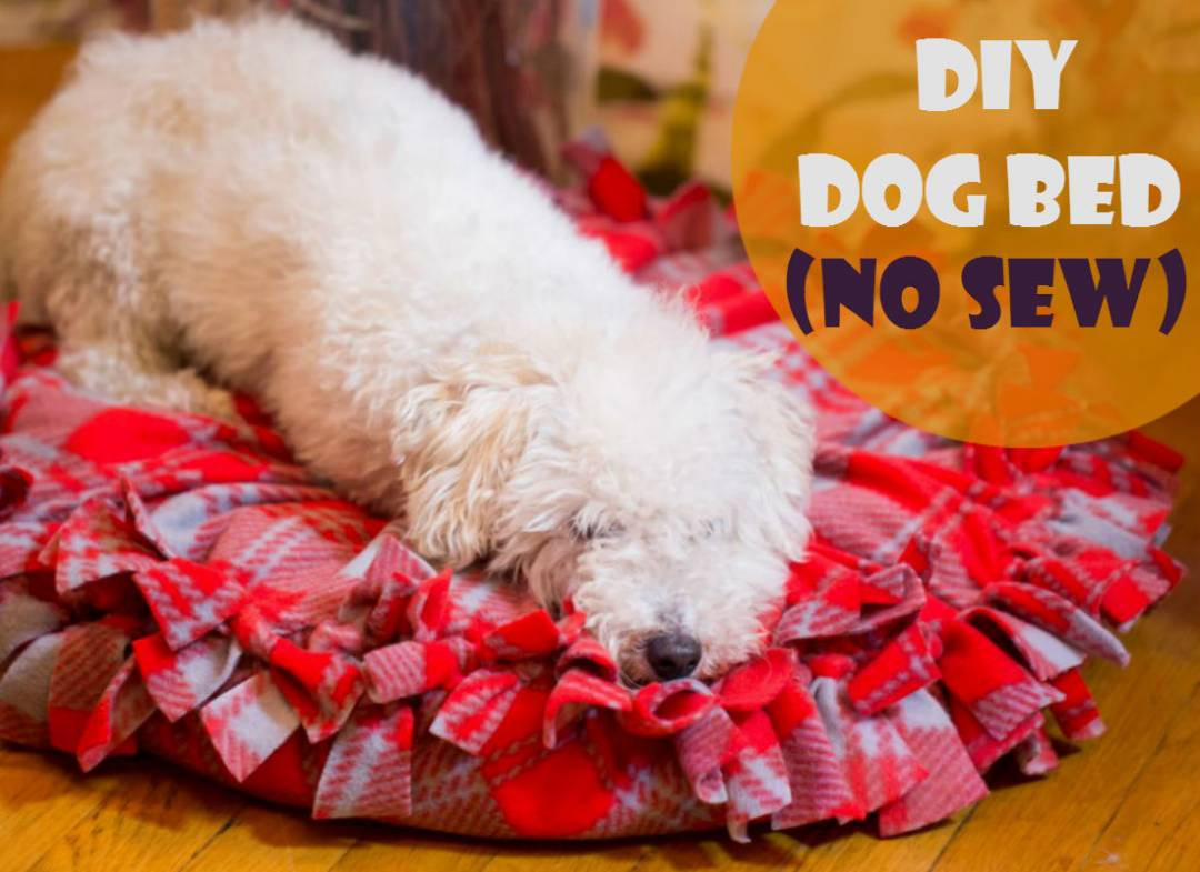 Best ideas about DIY Dog Bed No Sew
. Save or Pin Warm and fy DIY Dog Bed for our Favorite Pet The Now.