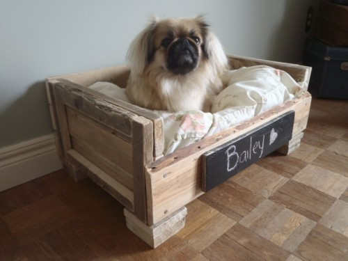 Best ideas about DIY Dog Bed Pallet
. Save or Pin 10 DIY Beds For Your Loving Pet Friends Now.