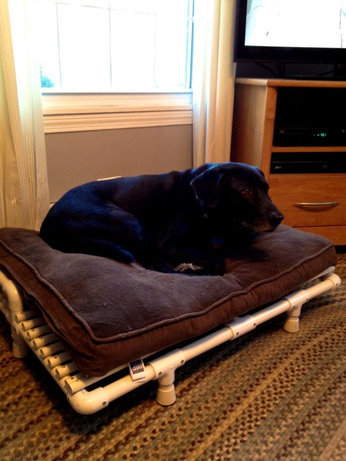 Best ideas about DIY Dog Beds For Large Dogs
. Save or Pin Elevated Dog Bed Diy Choose A Special Hammock Dog Bed Now.