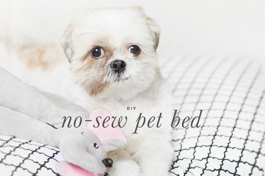 Best ideas about DIY Dog Beds No Sew
. Save or Pin DIY No Sew Dog Bed Pretty Fluffy Now.