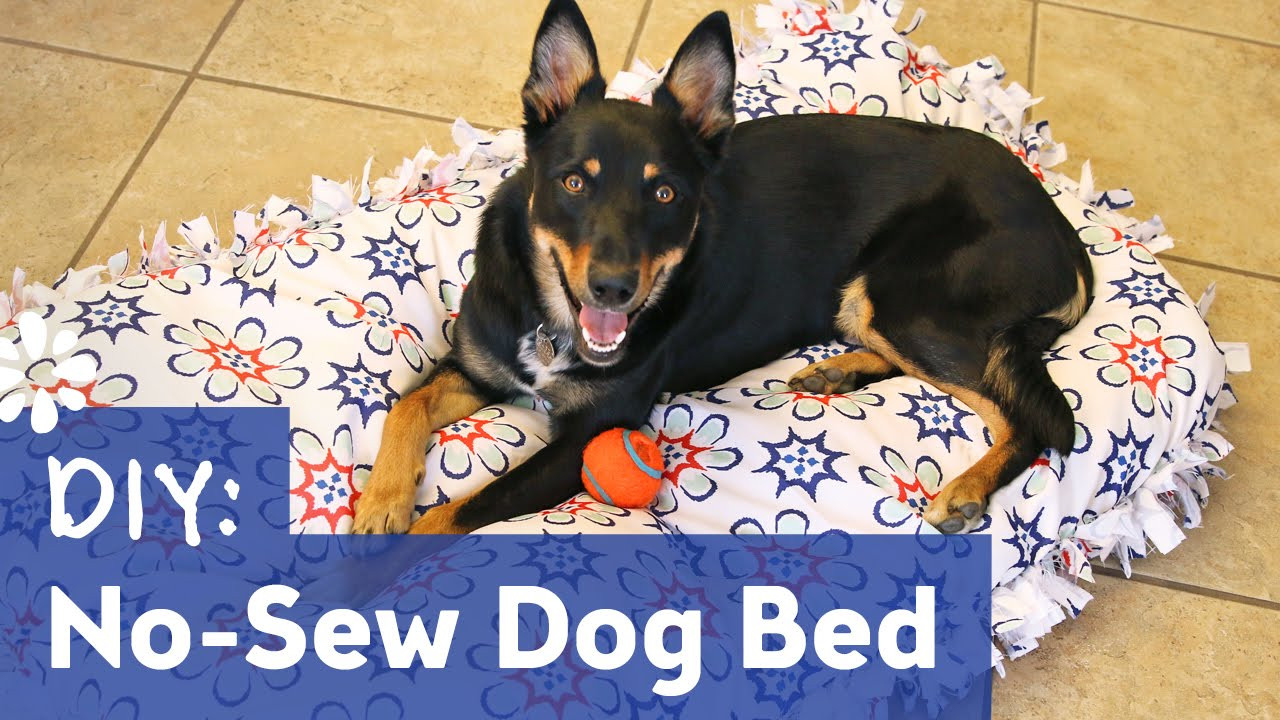 Best ideas about DIY Dog Beds No Sew
. Save or Pin DIY No Sew Dog Pet Bed Now.