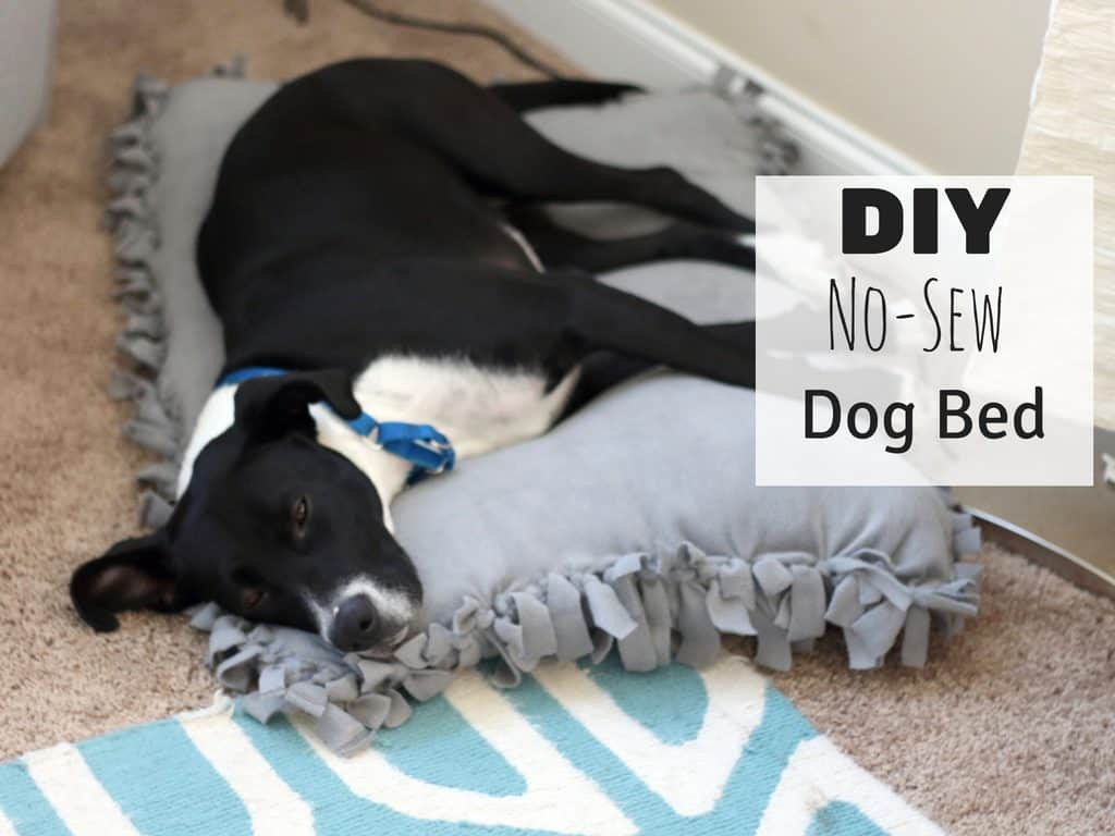 Best ideas about DIY Dog Beds No Sew
. Save or Pin DIY No Sew Dog Bed For Under $10 Saving You Dinero Now.