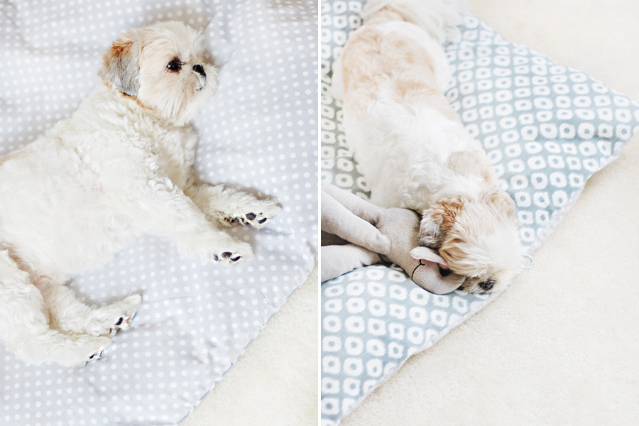 Best ideas about DIY Dog Beds No Sew
. Save or Pin Pretty Fluffy Now.