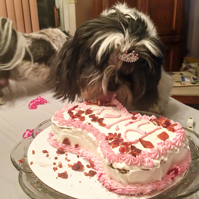 Best ideas about DIY Dog Birthday Cake
. Save or Pin A Yummy All Natural DIY Dog Birthday Cake Now.
