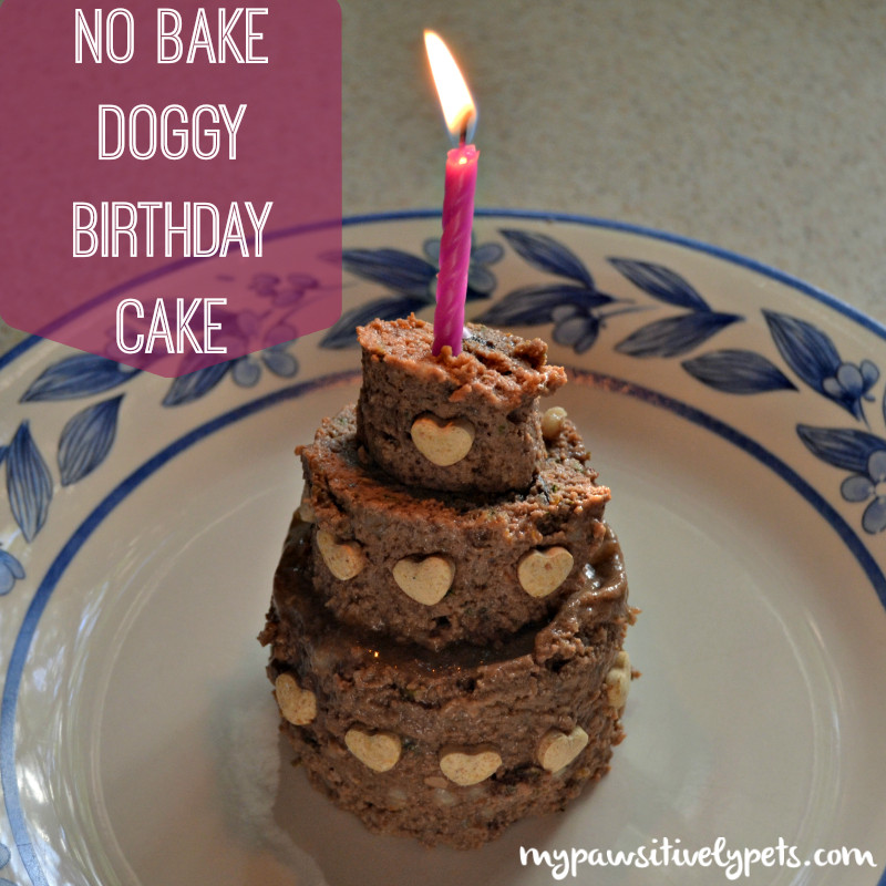 Best ideas about DIY Dog Birthday Cake
. Save or Pin DIY No Bake Birthday Cake for Dogs Now.