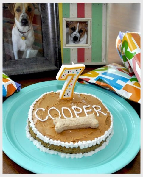 Best ideas about DIY Dog Birthday Cake
. Save or Pin Doggie Birthday Cakes B Lovely Events Now.