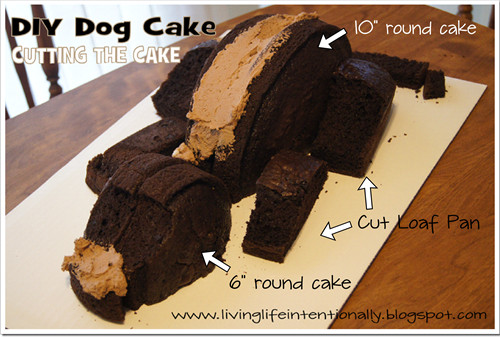 Best ideas about DIY Dog Birthday Cake
. Save or Pin DIY Dog Birthday Cake Now.