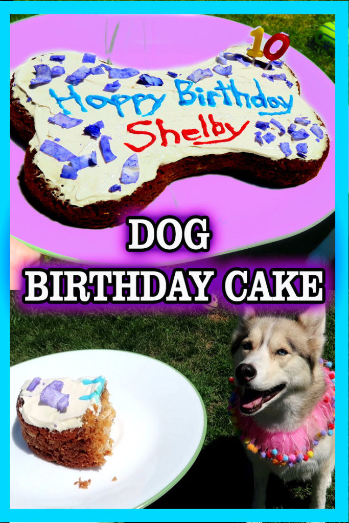 Best ideas about DIY Dog Birthday Cake
. Save or Pin DIY DOG BIRTHDAY CAKE Now.