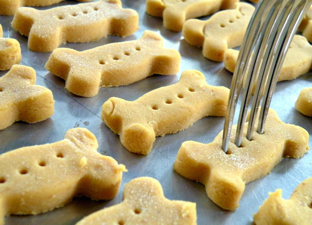 Best ideas about DIY Dog Biscuits
. Save or Pin Cure Stomach Irritation Pumpkin Dog Biscuits Recipe Now.