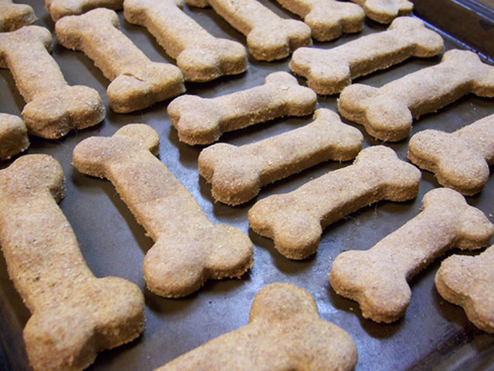 Best ideas about DIY Dog Biscuits
. Save or Pin Pamper Your Pooch With These 5 Homemade Vegan Dog Treats Now.