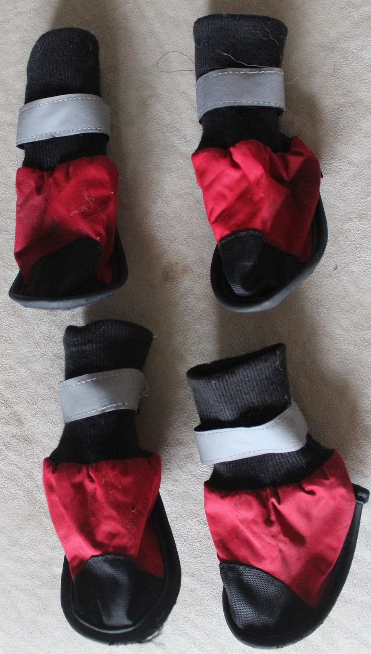 Best ideas about DIY Dog Boots
. Save or Pin 25 best ideas about Dog Booties on Pinterest Now.