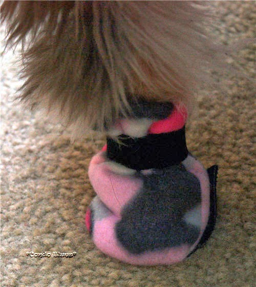 Best ideas about DIY Dog Boots
. Save or Pin Condo Blues How to Make Dog Boots Now.