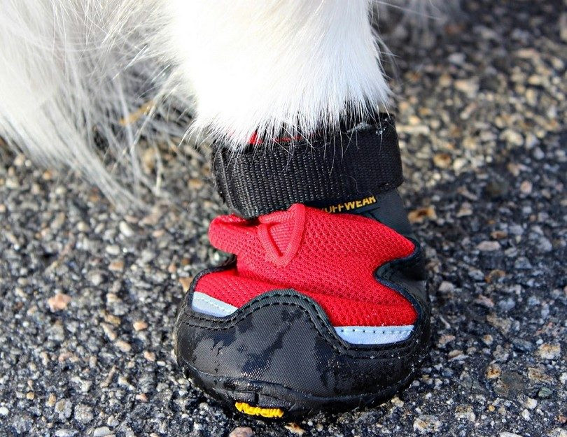 Best ideas about DIY Dog Boots
. Save or Pin How to Make Dog Booties Diy Dog Booties Project Now.