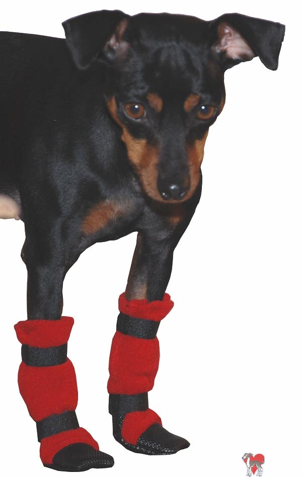 Best ideas about DIY Dog Boots
. Save or Pin Easy DIY Dog Boots ROMP Italian Greyhound Rescue Now.