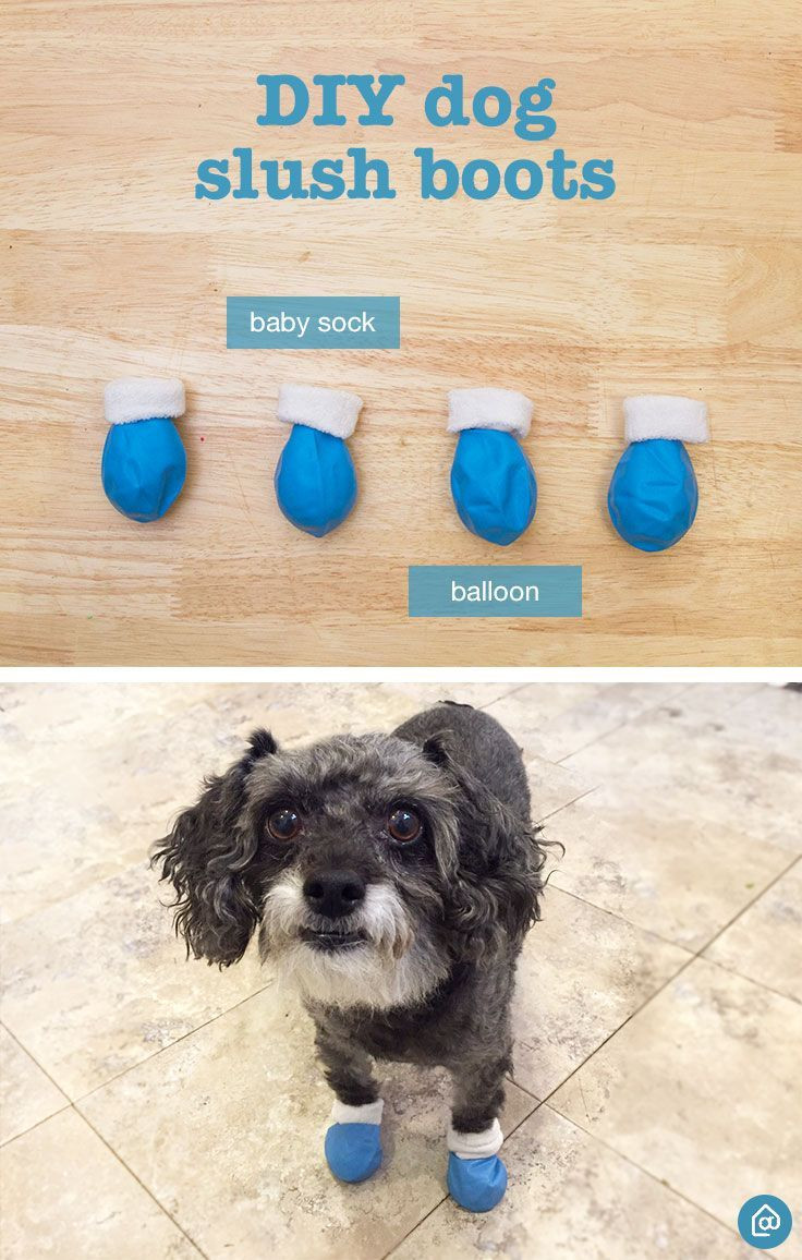 Best ideas about DIY Dog Boots
. Save or Pin Best 25 Dog booties ideas on Pinterest Now.