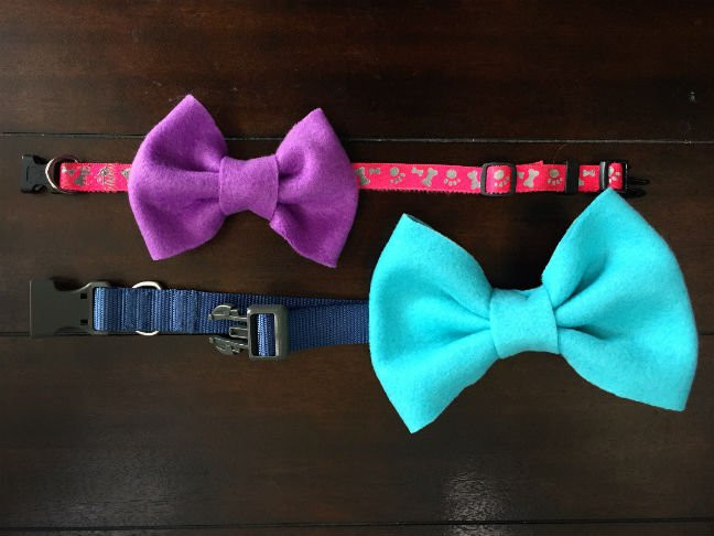 Best ideas about DIY Dog Bow
. Save or Pin DIY Collar Bows and Bow Ties for Dogs Now.