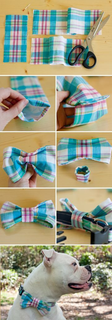 Best ideas about DIY Dog Bow Tie
. Save or Pin DIY Dog Collar Bow Tie s and for Now.