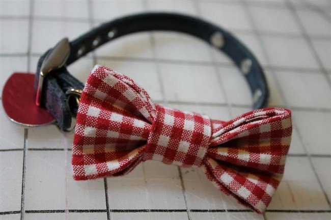 Best ideas about DIY Dog Bow Ties
. Save or Pin 16 Awesome DIY Dog Accessory Ideas You And Your Pooch Will Now.
