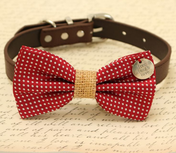 Best ideas about DIY Dog Bow Ties
. Save or Pin 25 best ideas about Dog bow ties on Pinterest Now.