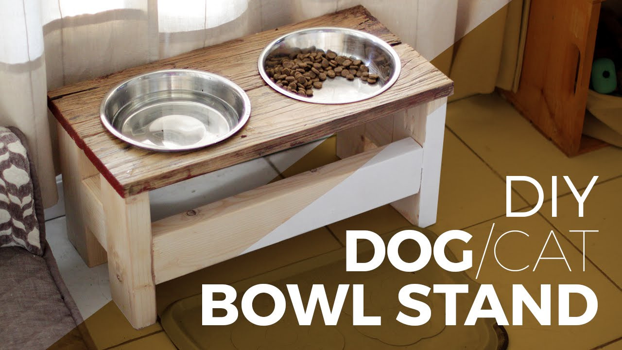 Best ideas about DIY Dog Bowls
. Save or Pin How to make a Dog Bowl Stand DIY or Cat Now.