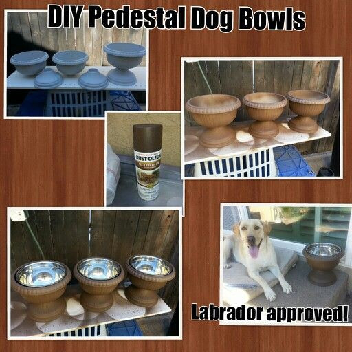 Best ideas about DIY Dog Bowls
. Save or Pin 25 best ideas about Dog Water Bowls on Pinterest Now.