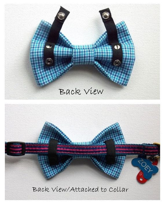 Best ideas about DIY Dog Bows
. Save or Pin Best 25 Dog accessories ideas on Pinterest Now.