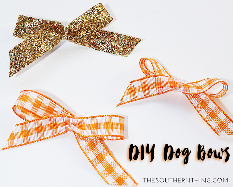 Best ideas about DIY Dog Bows
. Save or Pin DIY Dog Hair Bows • The Southern Thing Now.