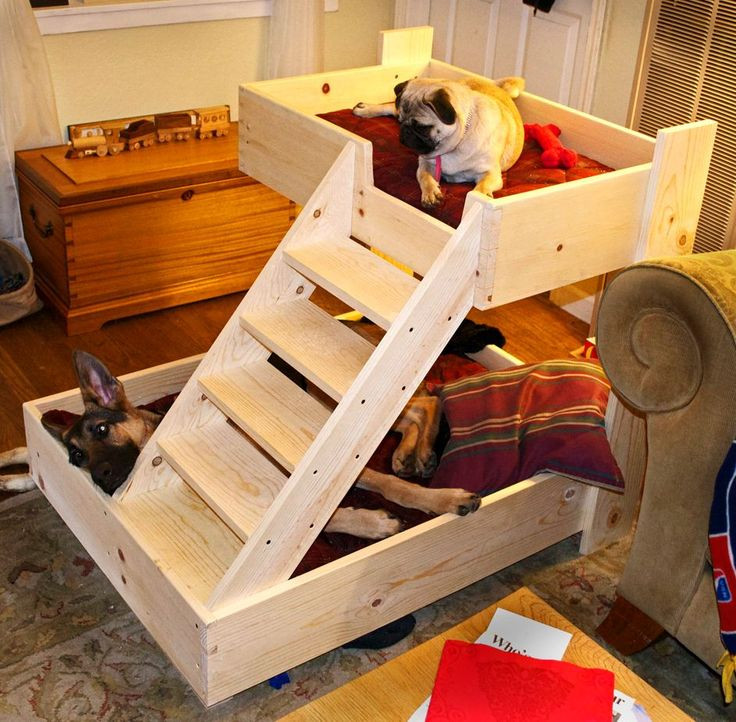 Best ideas about DIY Dog Bunk Bed
. Save or Pin Best 25 Dog bunk beds ideas on Pinterest Now.