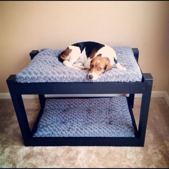 Best ideas about DIY Dog Bunk Bed
. Save or Pin Best 25 Dog bunk beds ideas on Pinterest Now.