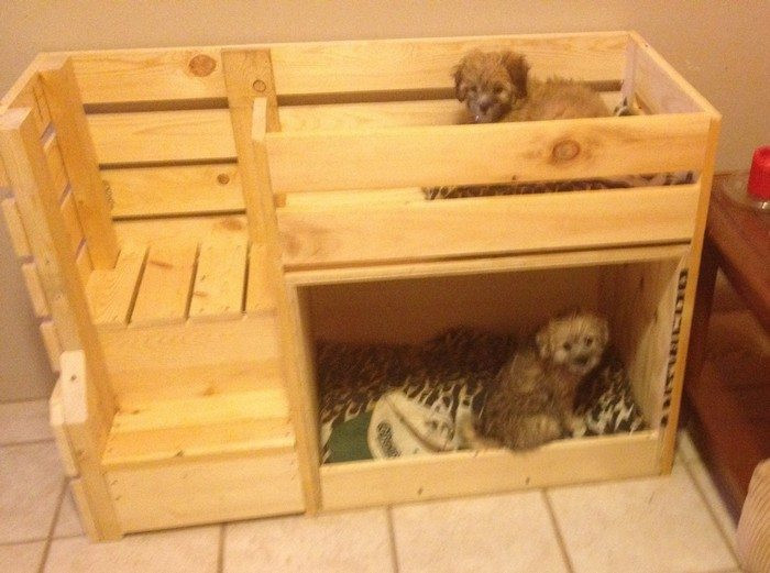 Best ideas about DIY Dog Bunk Bed
. Save or Pin How to build a bunk bed for your pets Now.