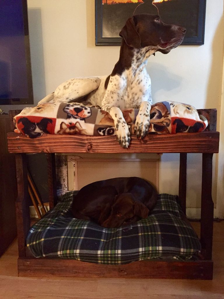 Best ideas about DIY Dog Bunk Bed
. Save or Pin DIY Dog Bunk Beds 8 Steps with Now.