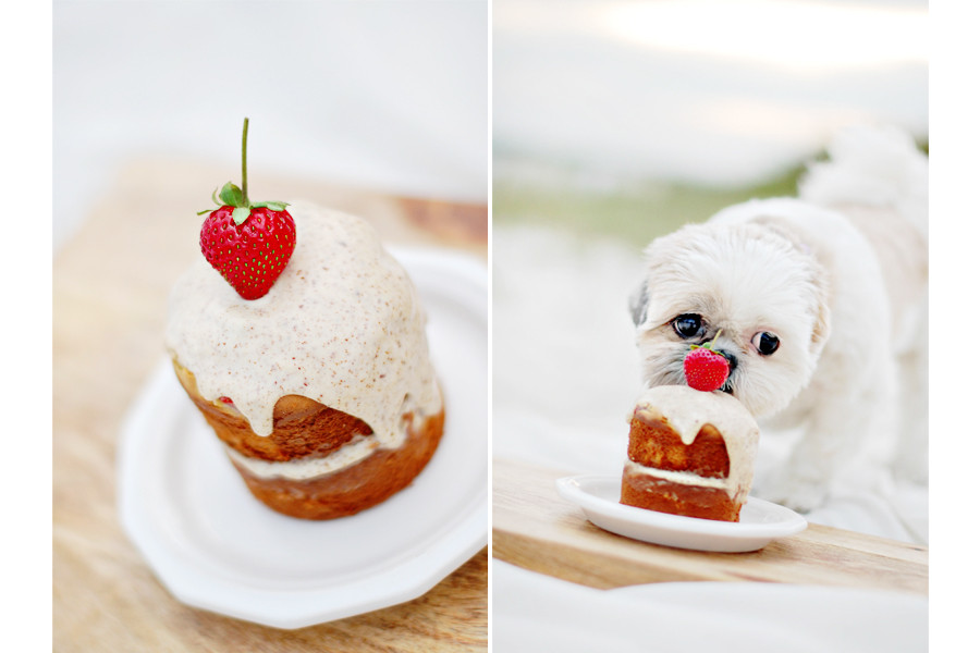 Best ideas about DIY Dog Cake
. Save or Pin Pretty Fluffy Now.