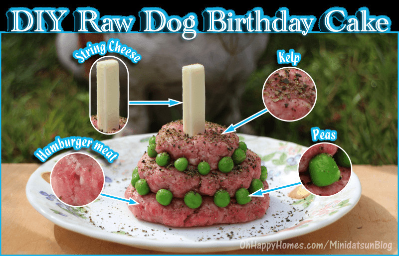 Best ideas about DIY Dog Cake
. Save or Pin DIY Raw Dog Birthday Cake – The Minidatsun Blog Now.