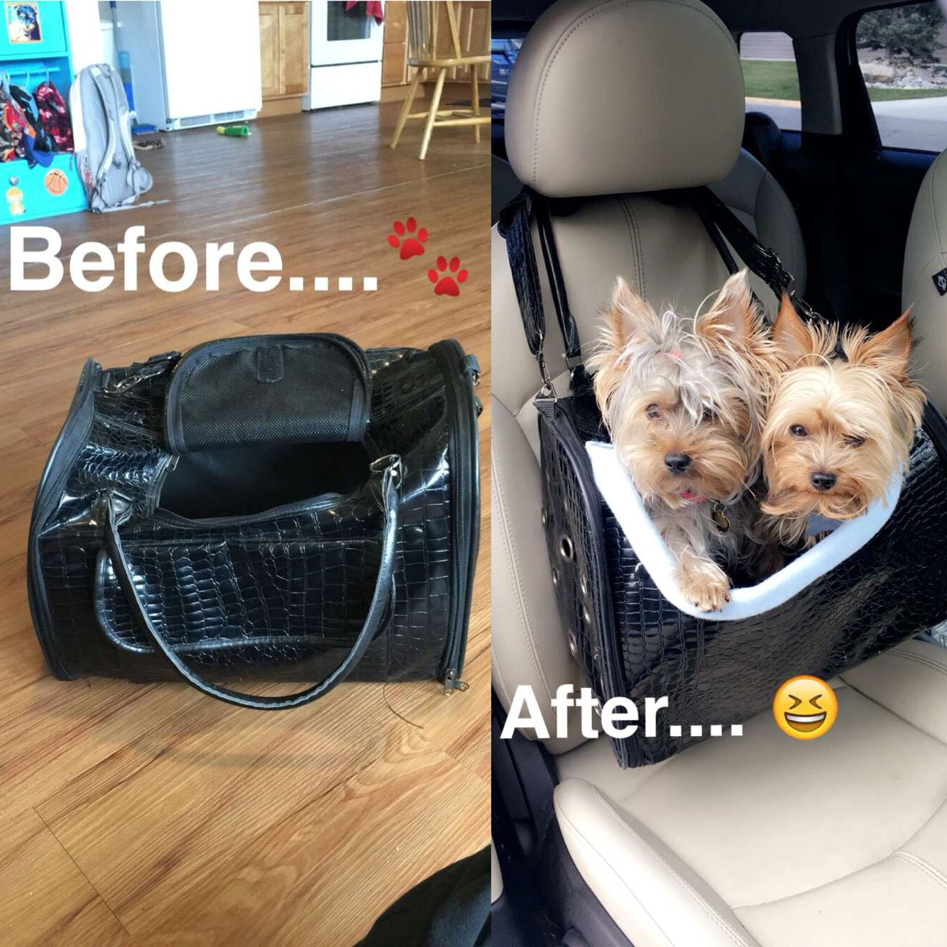 Best ideas about DIY Dog Car Seat
. Save or Pin DIY dog car seat made from an old suitcase I got at Now.