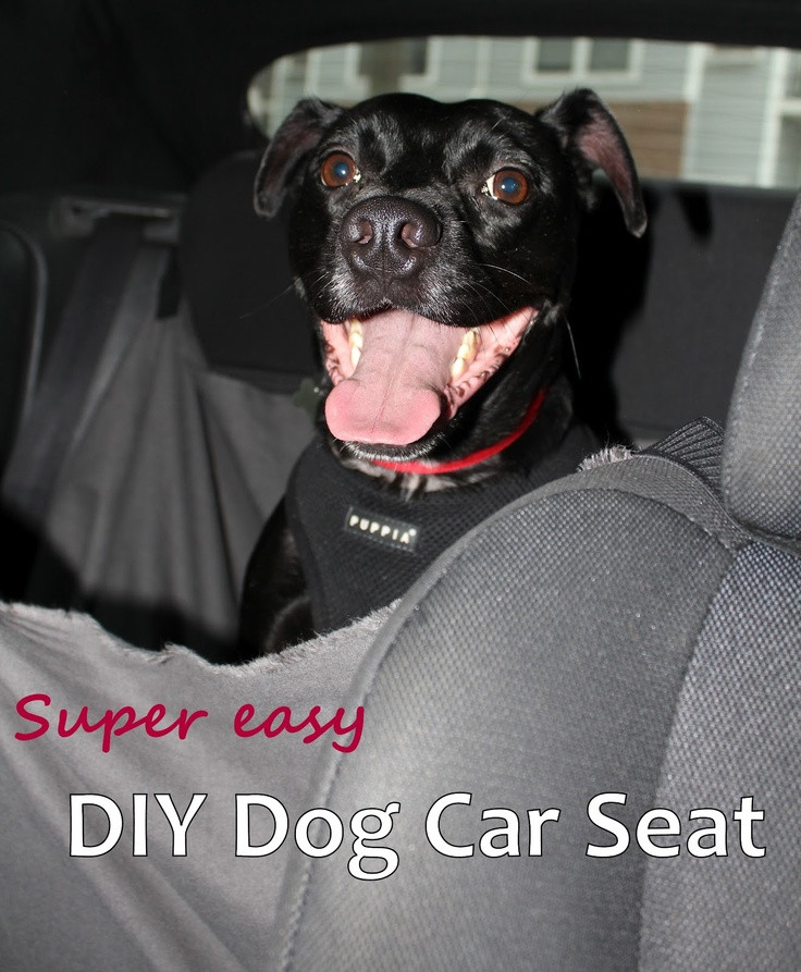 Best ideas about DIY Dog Car Seat
. Save or Pin homevolution DIY Dog Car Seat Hammock Now.